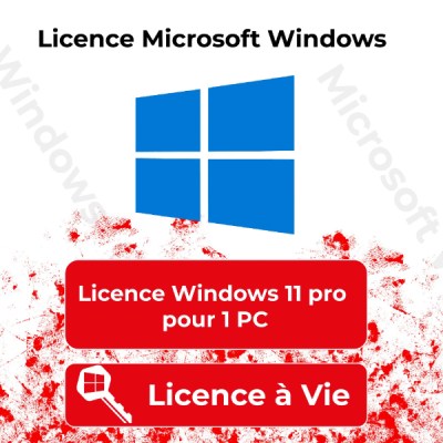 licence windows 11-1